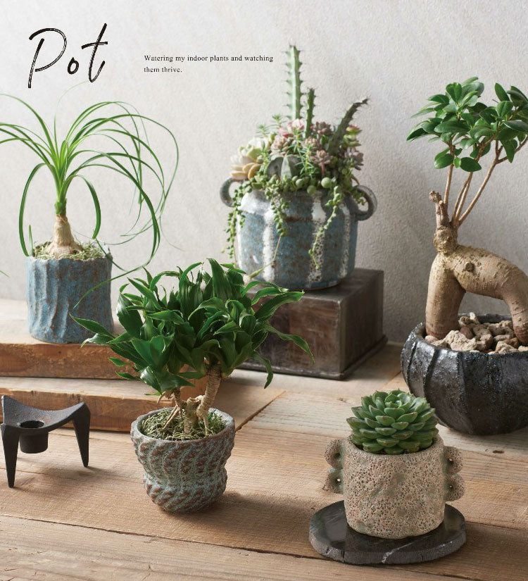 2025 SUMMER – 鉢人