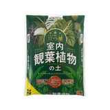 三つ星 室内観葉植物の土