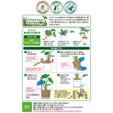 三つ星 室内観葉植物の土