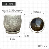 MM008-120