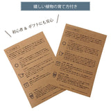 選べる品種 オリーブ 5号