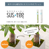 選べる品種 オリーブ 5号