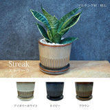 ミニサンスベリア カラーポットアレンジ