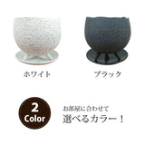 ソフォラ リトルベイビー 2色から選べる陶器鉢