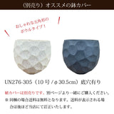 フィカス 各種 7号(21cm)