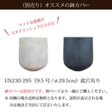 フィカス 各種 7号(21cm)