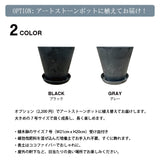 ユッカ 各種