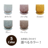 ミニ ガジュマル 和モダンポットアレンジ