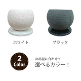 ガジュマル ストーンポットアレンジ