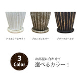 ガジュマル シャビーラインポットアレンジ