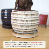 ガジュマル 和モダンポットアレンジ