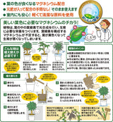 観葉植物の土