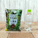 多肉植物&ミニ観葉の土