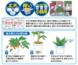 きれいな鉢底石