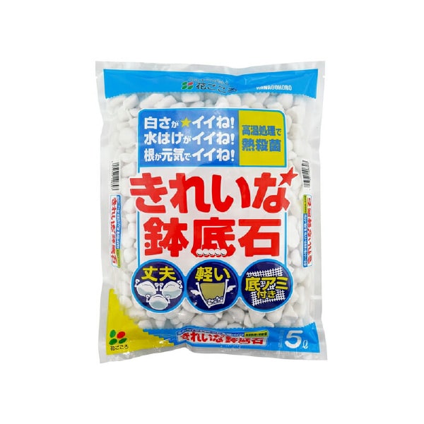 形のいい自然石の中心を筒状に刳り貫いた石鉢h15cm／11kg　つくばい　手水鉢　坪庭　茶庭　庭石　0609a