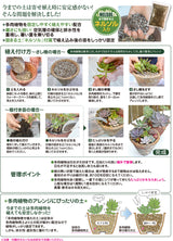 多肉植物寄せ植えの土