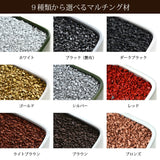 ガジュマル ステラポットアレンジ