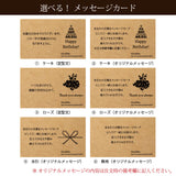 ガジュマル セメントボーダーポットアレンジ