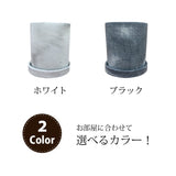 プレミアムポトス セメントポットアレンジ