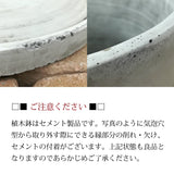 プレミアムポトス セメントポットアレンジ