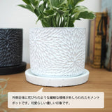 プレミアムポトス フローラポットアレンジ