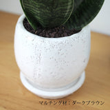 サンスベリア ハニー 和モダン卵型ポットアレンジ