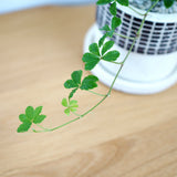 シュガーバイン チェックポットアレンジ