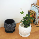 シュガーバイン フローラポットアレンジ