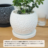 シュガーバイン フローラポットアレンジ