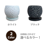 シュガーバイン フローラポットアレンジ