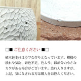 シュガーバイン フローラポットアレンジ