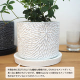 シュガーバイン フローラポットアレンジ