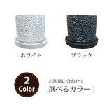 シュガーバイン フローラポットアレンジ