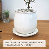 ソフォラ リトルベイビー 4色から選べる釉薬鉢