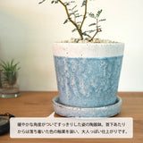 ソフォラ リトルベイビー 4色から選べる陶器鉢