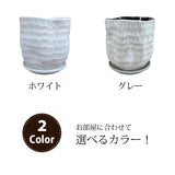 ソフォラ リトルベイビー 2色から選べる陶器鉢