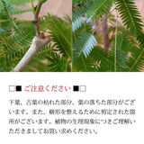 エバーフレッシュ 7号