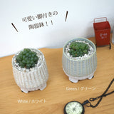 ハオルチア オブツーサ 陶器鉢セット 3号(10cm)