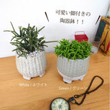 リプサリス 陶器鉢セット 3号(10cm)