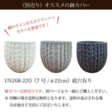 エバーフレッシュ 6号