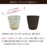 エバーフレッシュ 6号