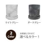 リプサリス セメントポットアレンジ 3.5号(10.5cm)