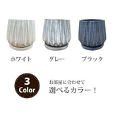 コウモリラン ジオメトリーポット アレンジ 5号