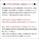 ガジュマル カラーポットアレンジ