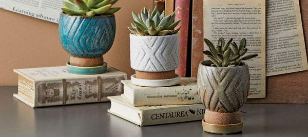 おしゃれな植木鉢をお探しなら！ ガーデニングの専門店 - 鉢人