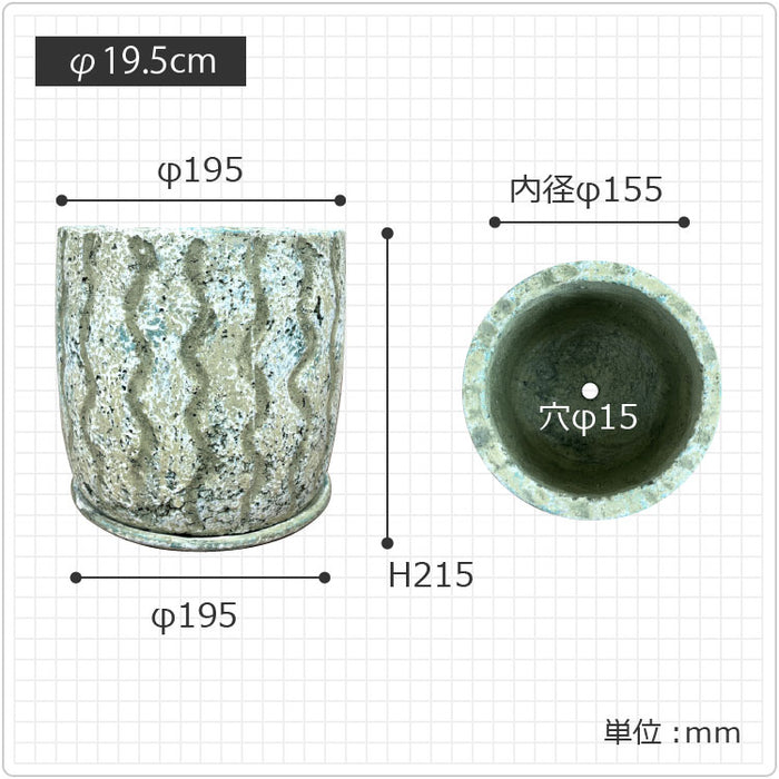 植物鉢 まー☆いーたん wt15 Backside works. 新品 BOTANIZE × Backside works. プラ鉢 - メルカリ