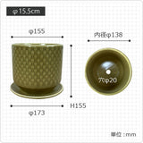 GP129-155