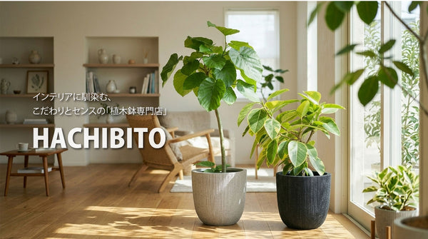 おしゃれな植木鉢をお探しなら！ ガーデニングの専門店 - 鉢人