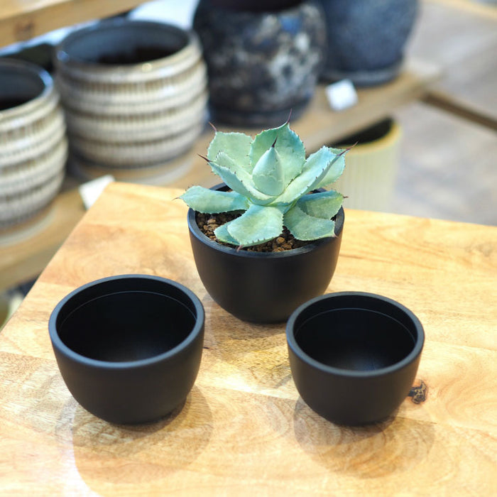 Maceta BowlMid – 鉢人