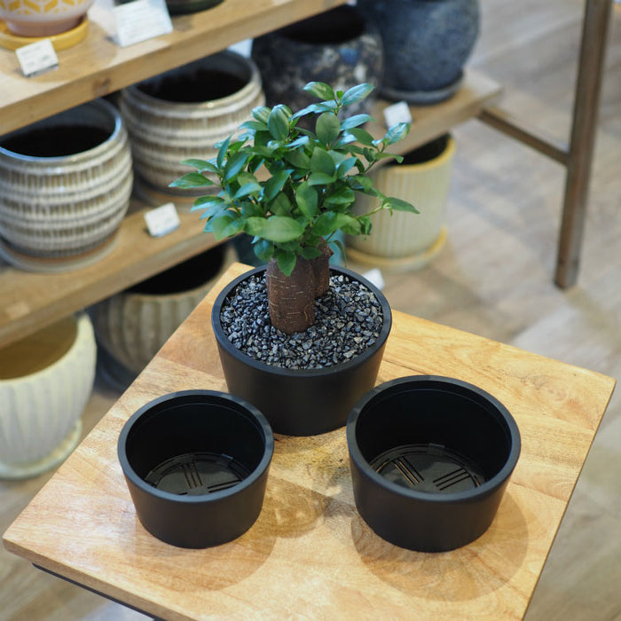 Maceta BasicLow – 鉢人